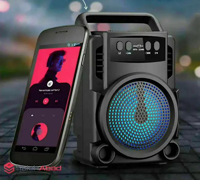 Rechargeable Wireless Portable Speaker